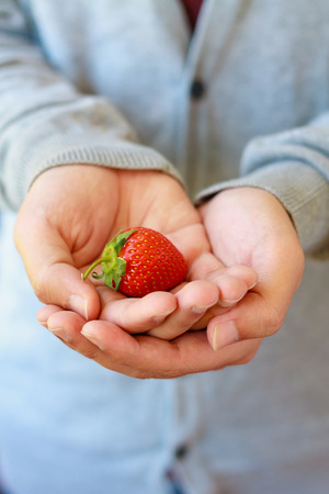 holding fresh strawberry in handsの写真素材