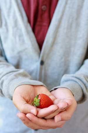 holding fresh strawberry in handsの写真素材