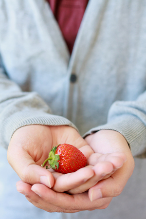 holding fresh strawberry in handsの写真素材
