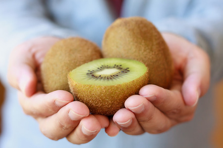 holding fresh kiwi fruit in handsの写真素材