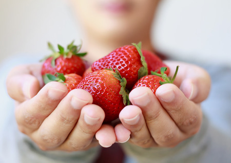 holding fresh strawberry in handsの写真素材