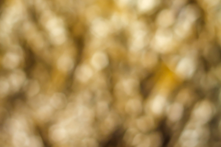 abstract golden bokeh backgroundの写真素材