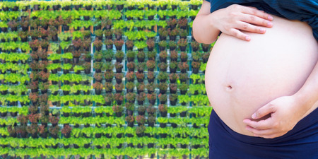 Pregnant woman touching her belly in the garden, love conceptの写真素材