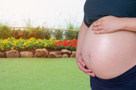 Pregnant woman touching her belly in the parkの写真素材