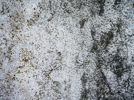 grunge cement textureの写真素材