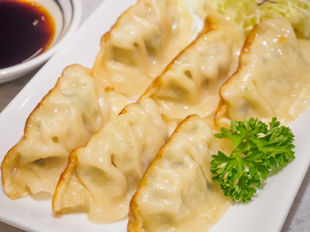 Gyoza dumplings with vegetables, japanese foodの写真素材