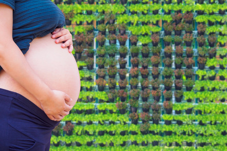 Pregnant woman touching her belly in the garden, love conceptの写真素材