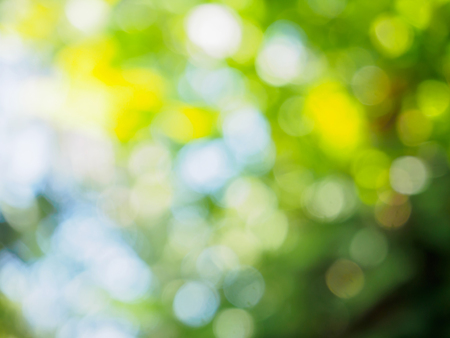 nature background with bokeh lightの写真素材