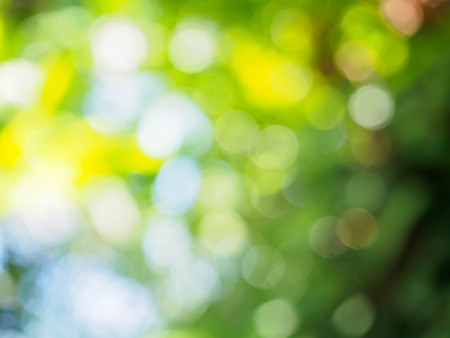 nature background with bokeh lightの写真素材