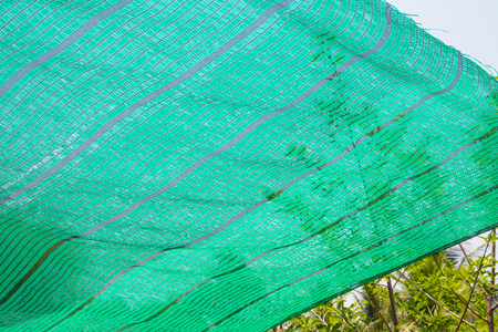 Green Shading Net protect sun lightの写真素材