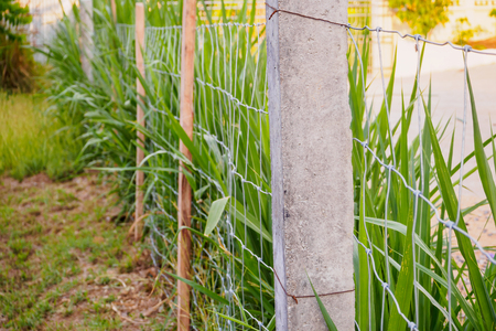 Metal fence wire and green grassの写真素材