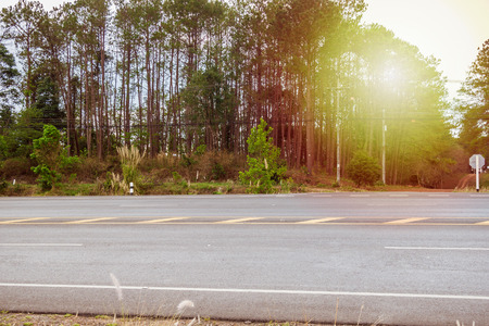 asphalt road in the forestの写真素材