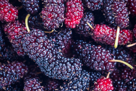 fresh mulberry closeup backgroundの写真素材