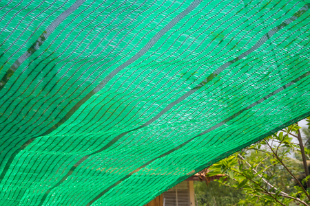 Green Shading Net protect sun lightの写真素材