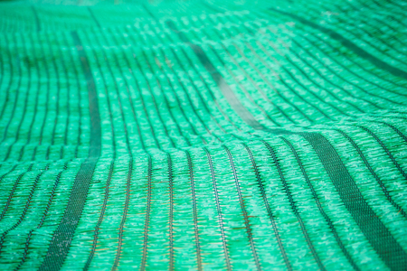 Close up Green Shading Net protect sun lightの写真素材