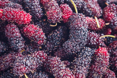 fresh mulberry closeup backgroundの写真素材