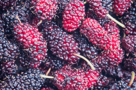 fresh mulberry closeup backgroundの写真素材