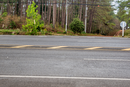 asphalt road in the forestの写真素材