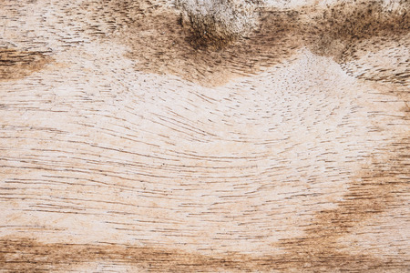 abstract old dirty wood textureの写真素材