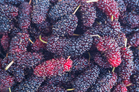 fresh mulberry closeup backgroundの写真素材