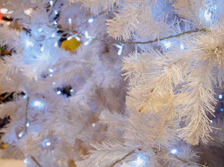 Closeup White Christmas tree backgroundの写真素材