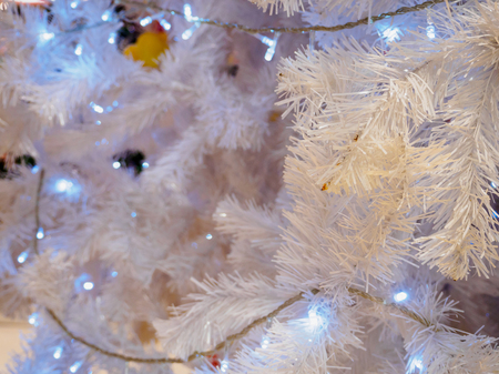 Closeup White Christmas tree backgroundの写真素材