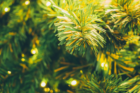 christmas tree with decorated lightsの写真素材