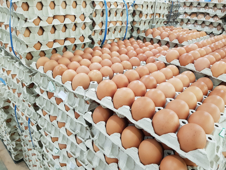 Fresh raw chicken eggs in package for sale in supermarketの写真素材