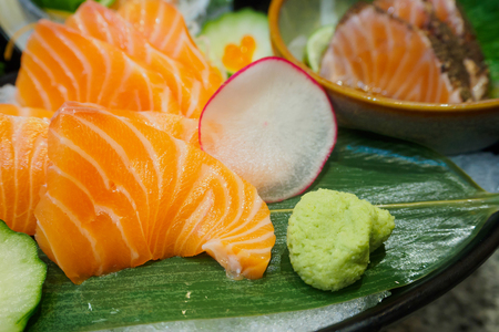 fresh salmon slice sashimi set Japanese styleの写真素材