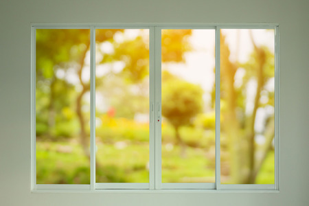 green garden view through the windowの写真素材