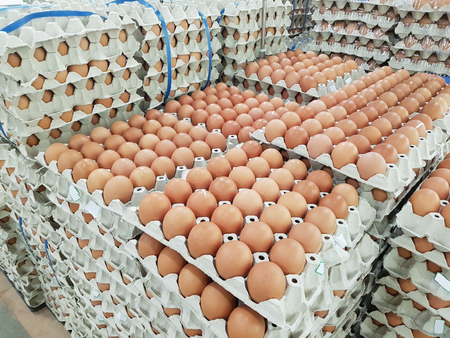 fresh raw chicken eggs in package for sale in supermarketの写真素材