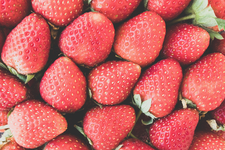 freshly ripe strawberries backgroundの写真素材