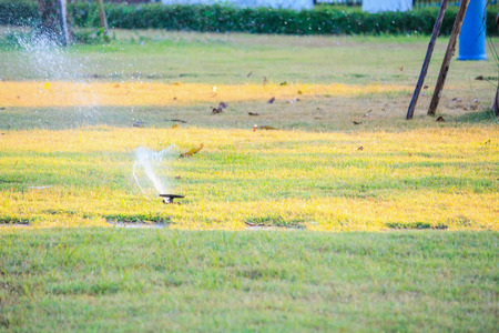 Automatic lawn sprinklers watering over green grass in the gardenの写真素材