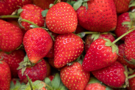 freshly ripe strawberries backgroundの写真素材