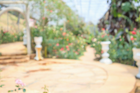 Abstract blur Beautiful fresh natural roses in flower garden
