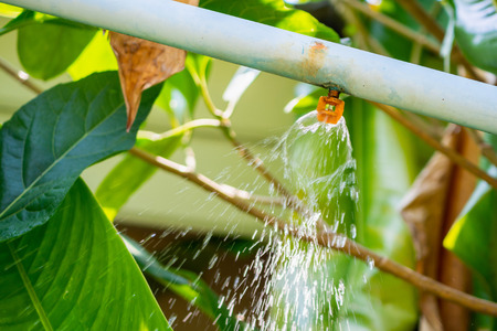 garden sprinkler water irrigation systemの写真素材
