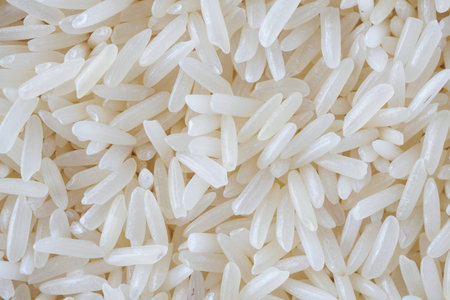 Thailand Jasmine rice grains texture background close upの写真素材