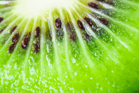Fresh kiwi fruit slices closeup macro texture backgroundの写真素材