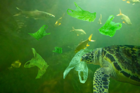 Sea Turtle eat plastic bag ocean pollution concept