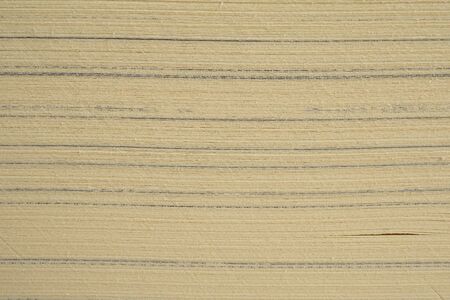 Book page close up texture background