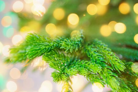 Closeup Christmas tree with bokeh light backgroundの写真素材