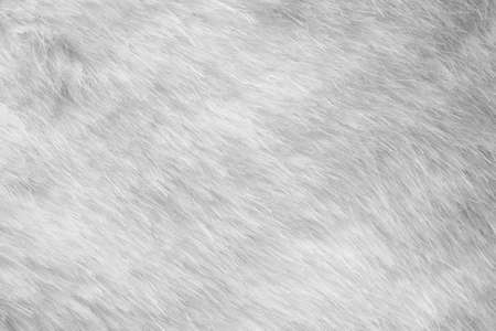 White fur fabric texture backgroundの写真素材