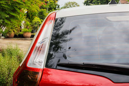 Back view of red car window for sticker mockupの写真素材