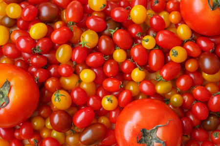 Variety of colorful organic tomato backgroundの写真素材