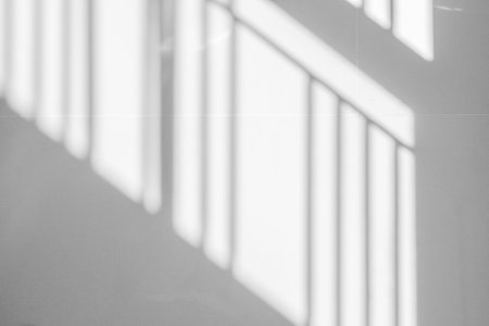 Window shadow drop on white wall backgroundの写真素材