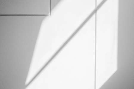 Window shadow drop on white wall backgroundの写真素材
