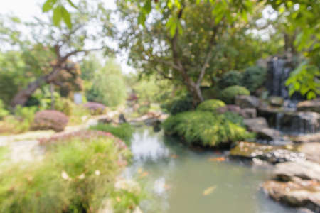 Abstract blur park garden pond background