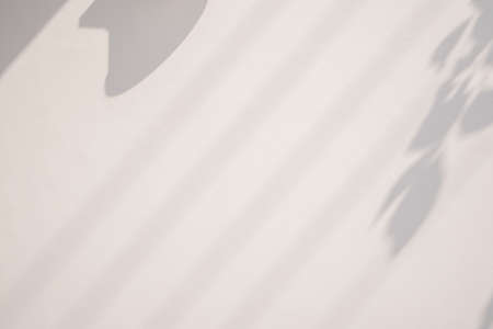 Abstract natural tree leaves on white wall background