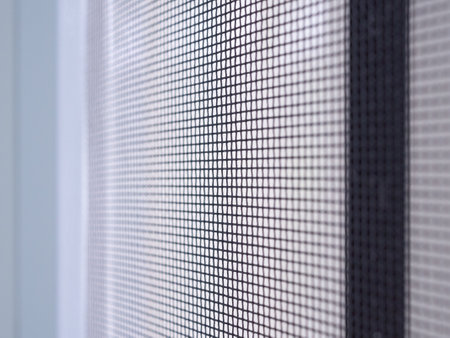 mosquito net wire screen on house window protection against insect