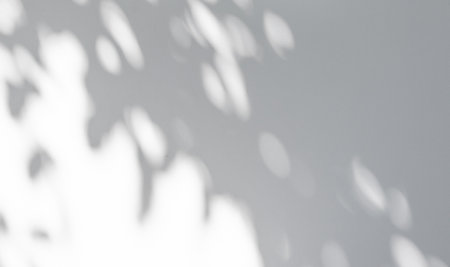 Abstract natural tree leaves shadow on white wall backgroundの写真素材